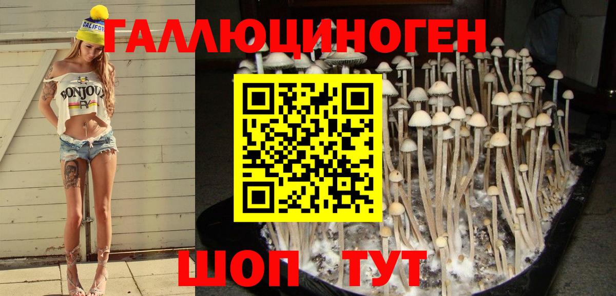 Псилоцибиновые грибы ЛСД Дубна